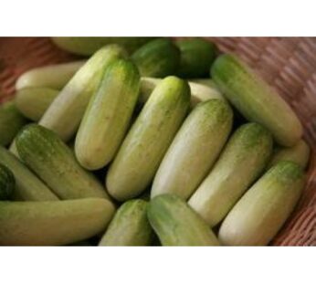 Cucumber, Small, แตงกวา (pesticide-free) Approx.500g