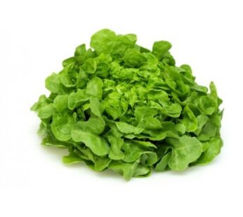 Lettuce, Green Oak, กรีนโอ๊ค (pesticide-free), 500g