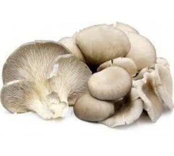 Mushroom, Japanese Oyster (pesticide-free), 500g