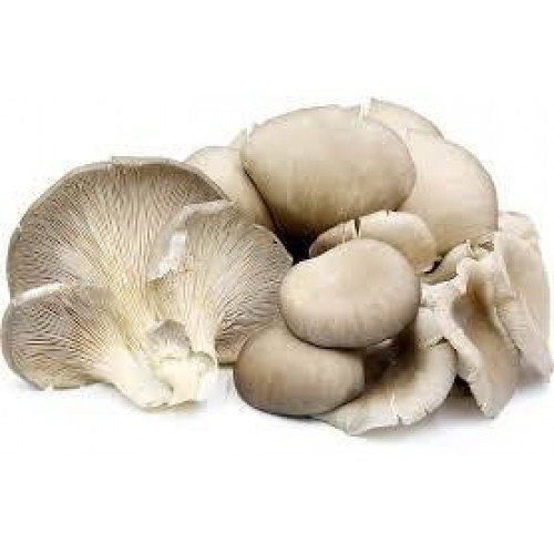 Mushroom, Japanese Oyster (pesticide-free), 500g