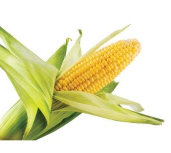 Corn, Sweet, ข้าวโพดหวาน (pesticide-free) 2 pcs