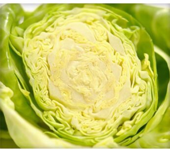 Cabbage, กะหล่ำปลี, (pesticide-free), Approx. 1kg