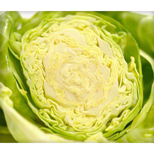 Cabbage, กะหล่ำปลี, (pesticide-free), Approx. 1kg