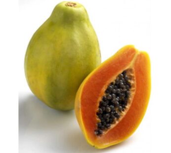 Papaya, Holland, Ripe, มะละกอสุก (pesticide-free) 1pcs