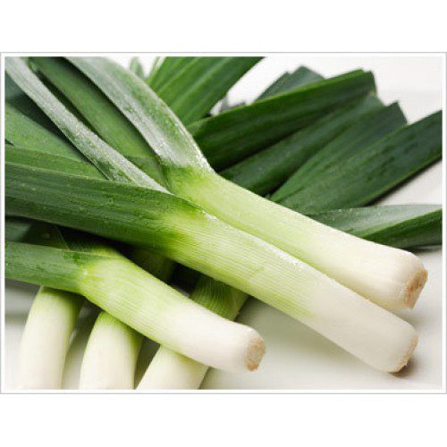 Spring Onion, Japanese ต้นหอมญี่ปุ่น (pesticide-free), Approx. 500g