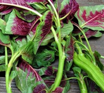 Amaranth leaves ( Approx. 500g )