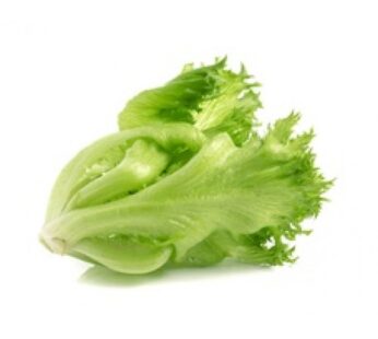 Frill ice Iceberg lettuce, ฟินเล่ย์ ไอเบิร์ก, Approx.500g