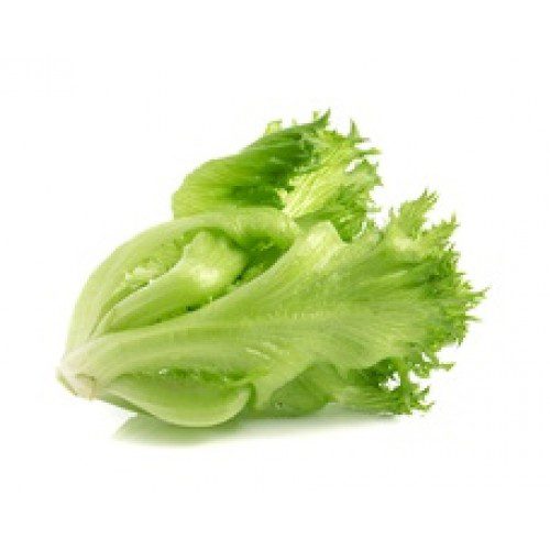 Frill ice Iceberg lettuce, ฟินเล่ย์ ไอเบิร์ก, Approx.500g