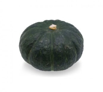 Organic Miniball Pumpkin 1pcs