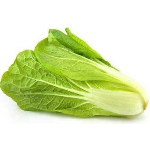 Organic Romaine Cos lettuce, โรเมนคอส (pesticide-free), Approx.500g