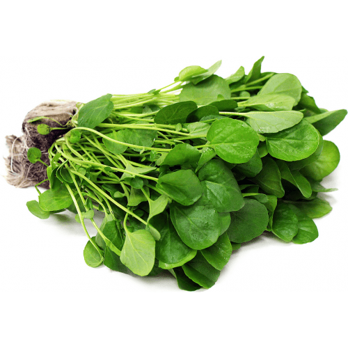 Watercress Thai, วอเตอร์เครสไทย (pesticide-free) , 90-120g/pack