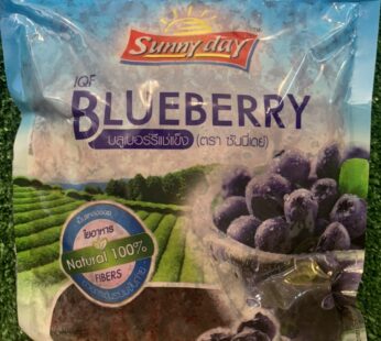 Sunny Day Frozen Blueberry 450 G