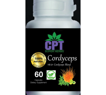 Cordyceps 60 capsule Bottle CPT SUPER HERBS