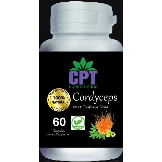Cordyceps 60 capsule Bottle CPT SUPER HERBS