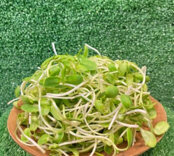 ORGANIC SUNFLOWER SPROUT ตันอ่อนทานตะวัน 150G