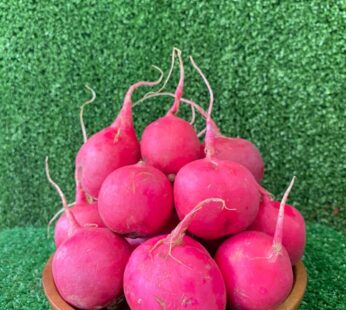 RED RADISH ORGANIC 500 G